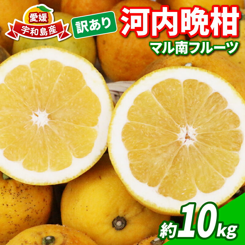 11位! 口コミ数「0件」評価「0」訳あり 河内晩柑 10kg マル南フルーツ 宇和ゴールド 夏文旦 晩柑 かわちばんかん 和製 グレープフルーツ 果物 フルーツ 柑橘 みかん･･･ 