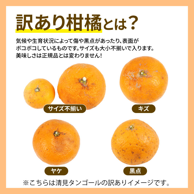 【ふるさと納税】 訳あり 人気柑橘 3回 定期便 みかん マル南フルーツ 宇和島みかん 蜜柑 mikan みかん 愛果28号 ( 紅まどんな と同品種) あいか せとか 早生温州 訳アリ 訳あり品 定期便 果物 くだもの フルーツ 柑橘 産地直送 国産 愛媛 宇和島 B030-106045