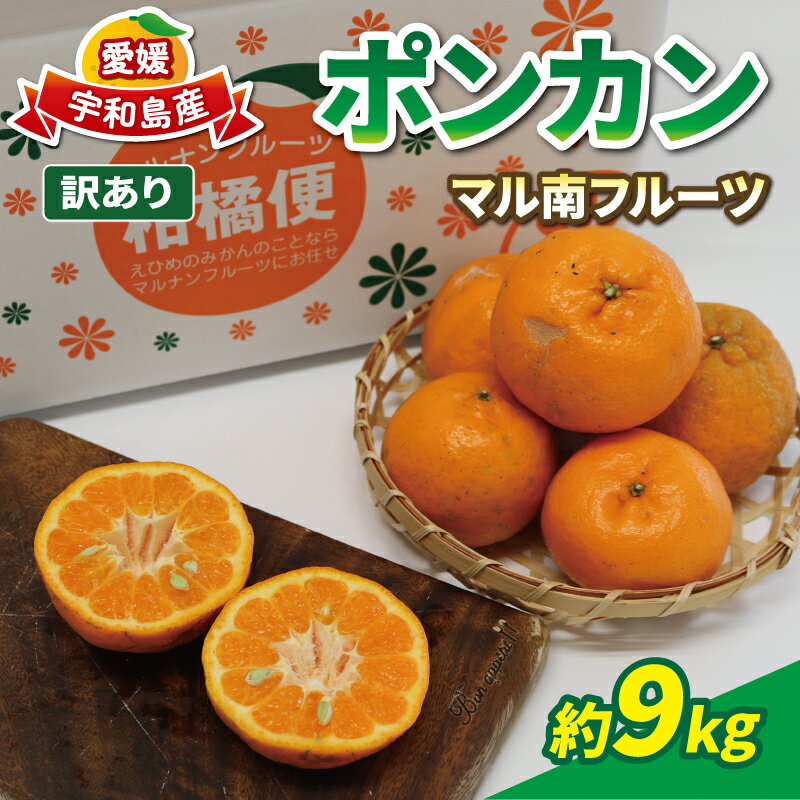 【ふるさと納税】 愛媛みかん 訳あり ポンカン 9kg サイズ 不揃い マル南フルーツ ぽんかん 先行予約 愛媛ミカン 愛媛蜜柑 訳ありみかん mikan わけあり 訳アリ 訳あり品 甘い 濃厚 人気 果物 果実 フルーツ 柑橘 蜜柑 産地直送 数量限定 国産 愛媛 宇和島 B010-106001