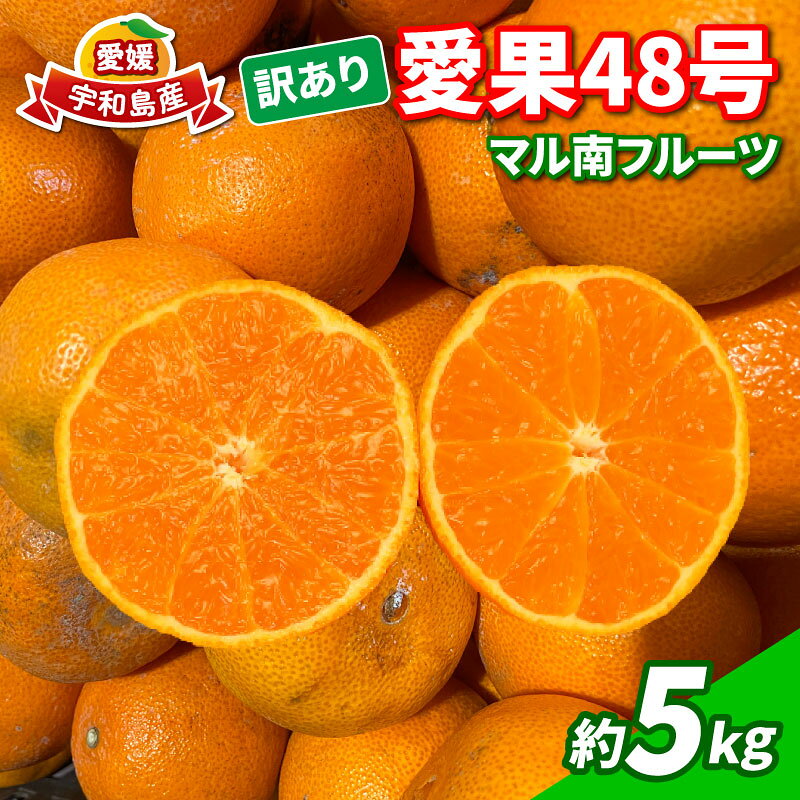 みかん 訳あり 愛果48号 ( 紅プリンセス と同品種) 5kg マル南フルーツ 不揃い 先行予約 柑橘 愛媛みかん ミカン 蜜柑 果物 くだもの わけあり 訳アリ 訳あり品 訳有り フルーツ 高級 甘い 産地直送 数量限定 国産 愛媛 限定 品種 宇和島