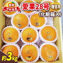 【ふるさと納税】 贈答用蜜柑 愛果28号 3kg 化粧箱入 先行予約 南予ファーム 贈答用みかん 愛媛みかん 愛媛ミカン 愛媛蜜柑 ハウスみかん ハウス蜜柑 高...