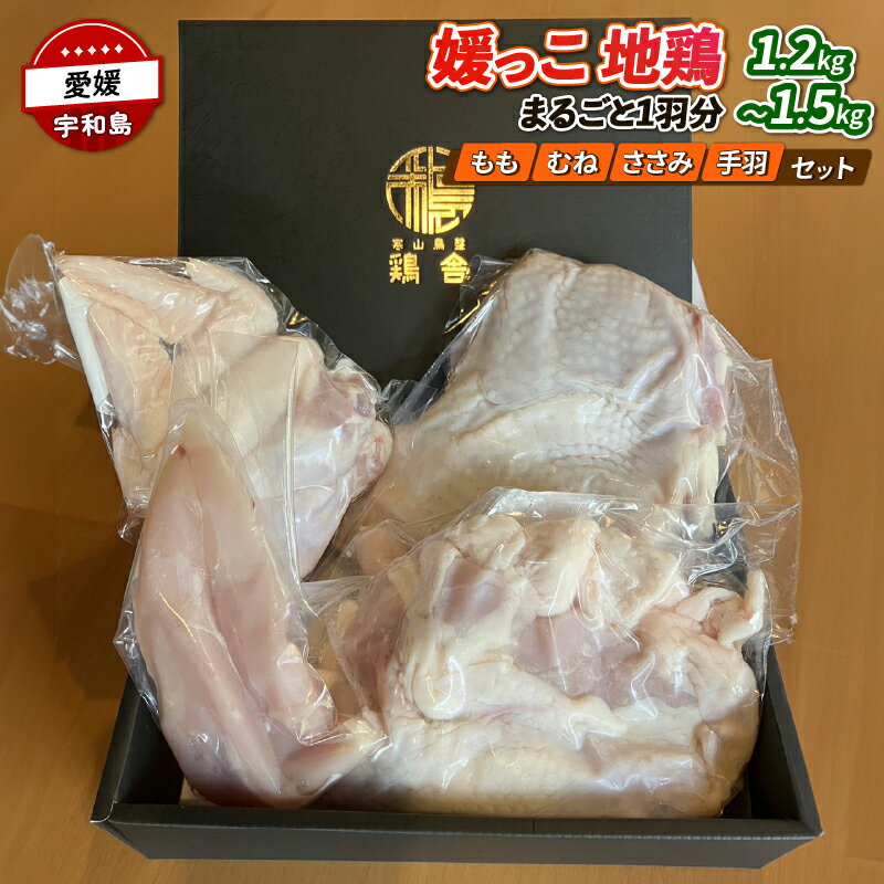 【ふるさと納税】 媛っこ 地鶏 1羽分 1.2～1.5kg 寒山鳥聲 鶏舎 鶏 鶏肉 お肉 肉 にく もも肉 鶏もも 胸肉 ムネ肉 むね肉 ささ身 手羽 食べ比べ 付き 冷凍 産地直送 数量限定 国産 愛媛 宇和島 E018-089004