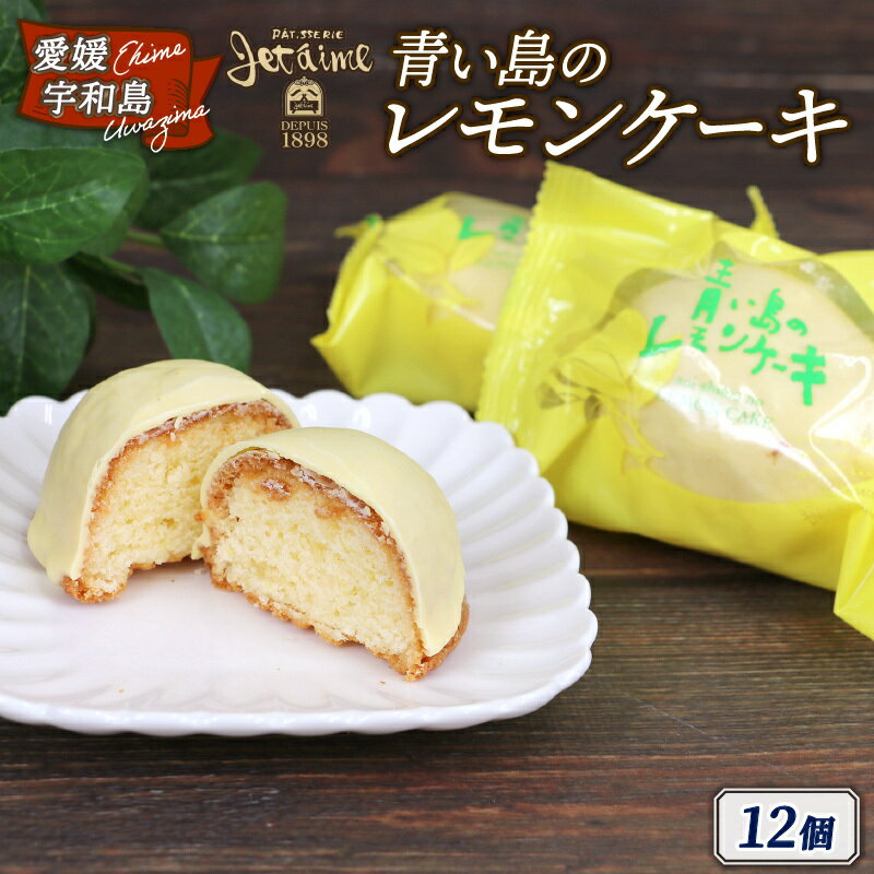 【ふるさと納税】 青い島の レモンケーキ 12個 寿提夢 父