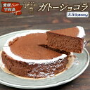 【ふるさと納税】 \10営業日以内発送/ 冷凍ケーキ ケーキ ガトーショコラ 5.5号 1ホール ジュテーム 寿提夢 スイーツ デザート おやつ 美味しい 焼菓...