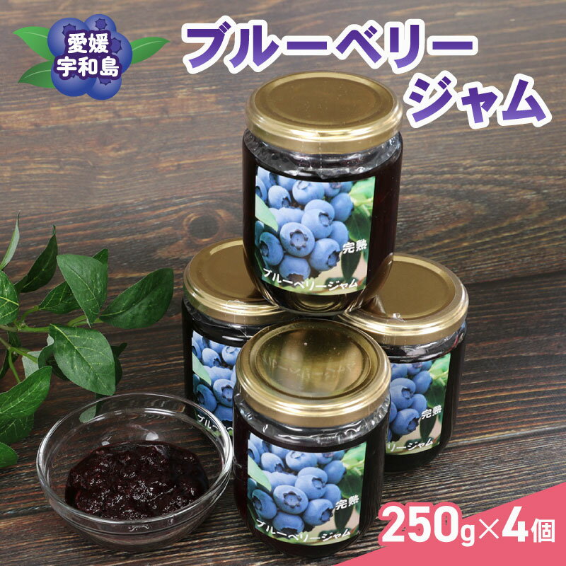 【ふるさと納税】 ブルーベリー ジャム 自家製 250g ×4個 計1kg 夢萬開 ブルーベリージャム berry 手作り 瓶 果物 くだもの フルーツ デザート ポリフェノール パン ヨーグルト アイス お菓子 おすすめ アレンジ 農家直送 産地直送 数量限定 国産 愛媛 宇和島 J015-105002