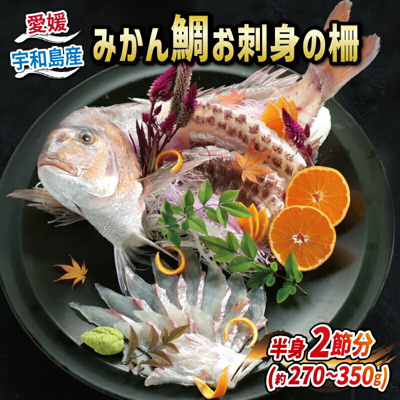 魚介類・水産加工品(タイ)人気ランク19位　口コミ数「6件」評価「4.67」「【ふるさと納税】 みかん鯛 270g~350g 半身 2節 宇和島プロジェクト みかん 柑橘 真鯛 鯛 マダイ タイ 刺身 お刺身 お刺し身 刺し身 冷凍 真空パック フィーレ お手軽 鯛めし 鯛茶漬け 鯛しゃぶ 塩焼き 煮付け アレンジ 冷凍 国産 愛媛 宇和島 D012-071001」