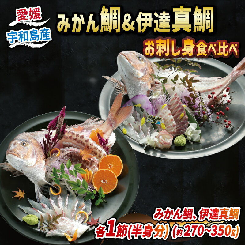 【ふるさと納税】 みかん鯛 & 伊達真鯛 270g~350g 刺身...