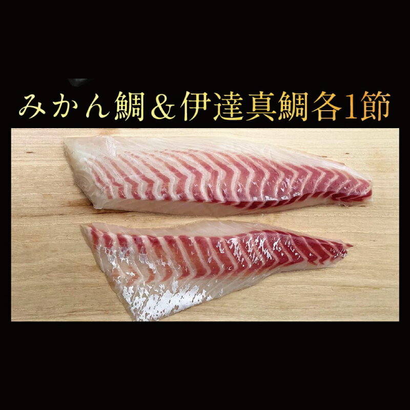 【ふるさと納税】 みかん鯛 & 伊達真鯛 270g~350g 刺身 食べ比べ 宇和島プロジェクト みかん 柑橘 真鯛 鯛 マダイ タイ お刺身 お刺し身 刺し身 冷凍 真空パック フィーレ お手軽 鯛めし 鯛茶漬け 鯛しゃぶ 塩焼き 煮付け アレンジ ブランド 国産 愛媛 宇和島 D012-071003