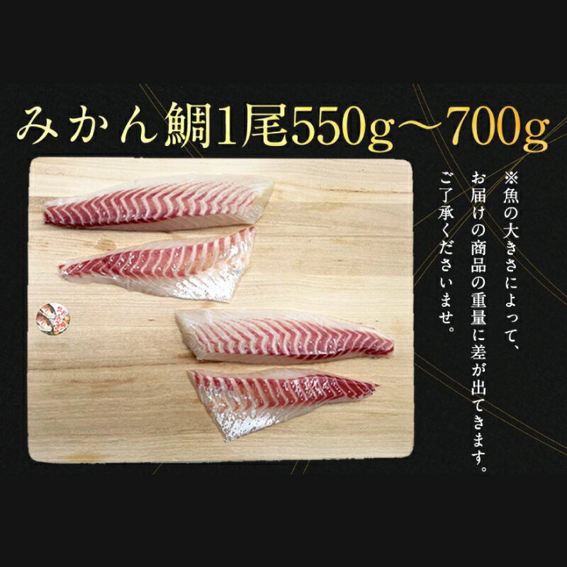 【ふるさと納税】 みかん鯛 550～700g 1尾 4節 宇和島プロジェクト 刺身 お刺身 お刺し身 刺し身 みかん 柑橘 真鯛 鯛 マダイ タイ 真空パック フィーレ お手軽 鯛めし 鯛茶漬け 鯛しゃぶ 塩焼き 煮付け アレンジ 冷蔵 国産 愛媛 宇和島 D022-071004