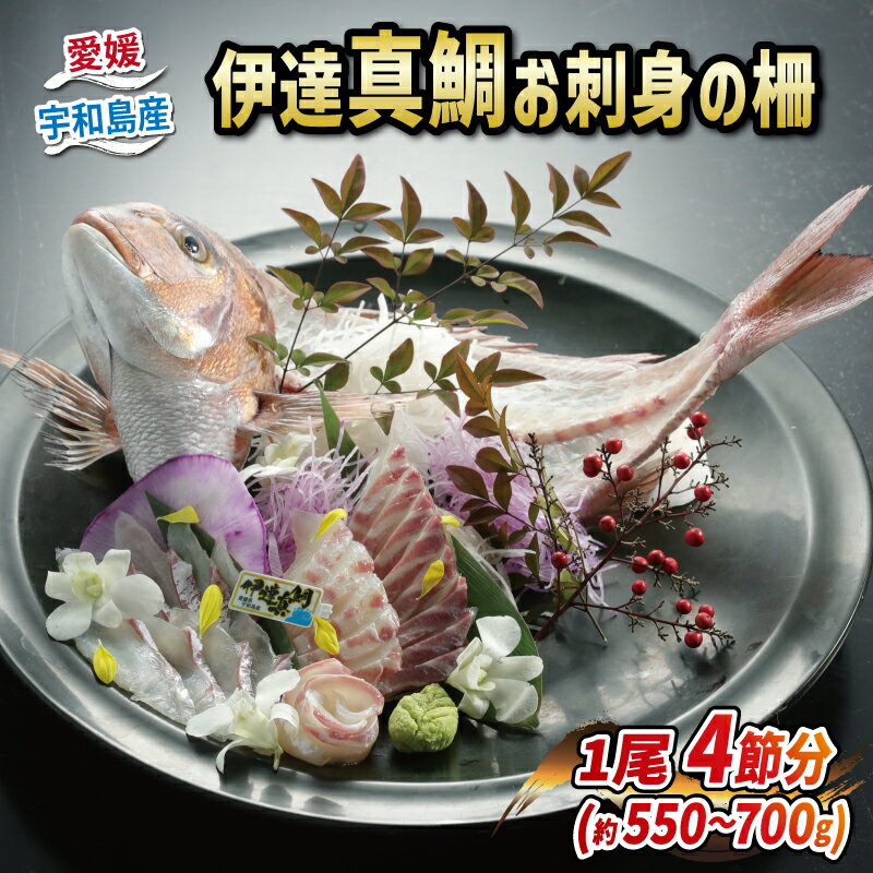 【ふるさと納税】 伊達真鯛 550~700g 刺身 1尾 4節 宇和島プロジェクト 真鯛 鯛 マダイ タイ お刺身 お..