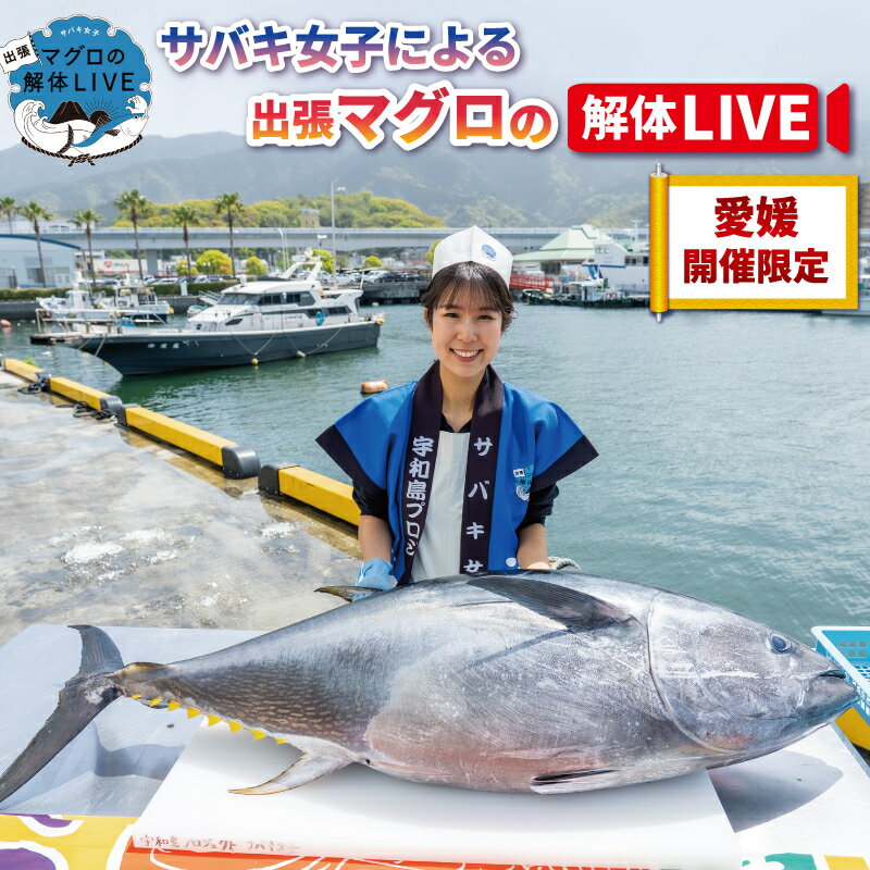 【ふるさと納税】 出張 マグロ 解体 LIVE 愛媛開催限定 宇和島プロジェクト マグロ解体ショー 解体ショー マグロ解体 本マグロ 黒マグロ 鮪 新鮮 サバキ女子 ショー イベント 結婚式 パーティー 愛媛 宇和島 L2115-071011