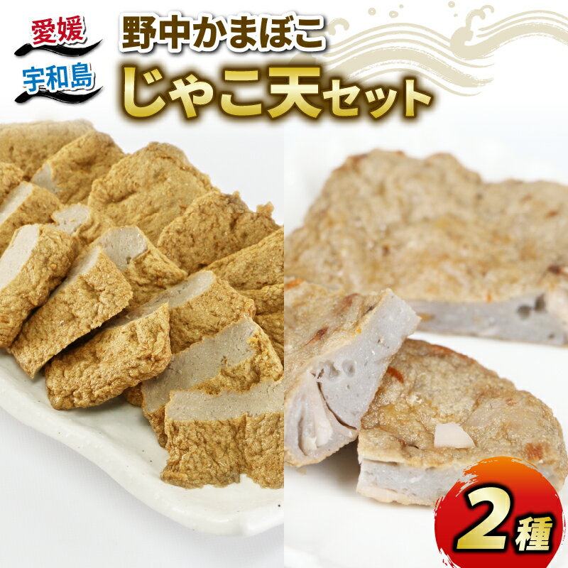 【ふるさと納税】 \10営業日以内発送/ じゃこ天 宇和島 2種 詰合せ セット 手押してんぷら 7枚 野菜てんぷら 5枚 野中かまぼこ店 お中元 初節句 お正...