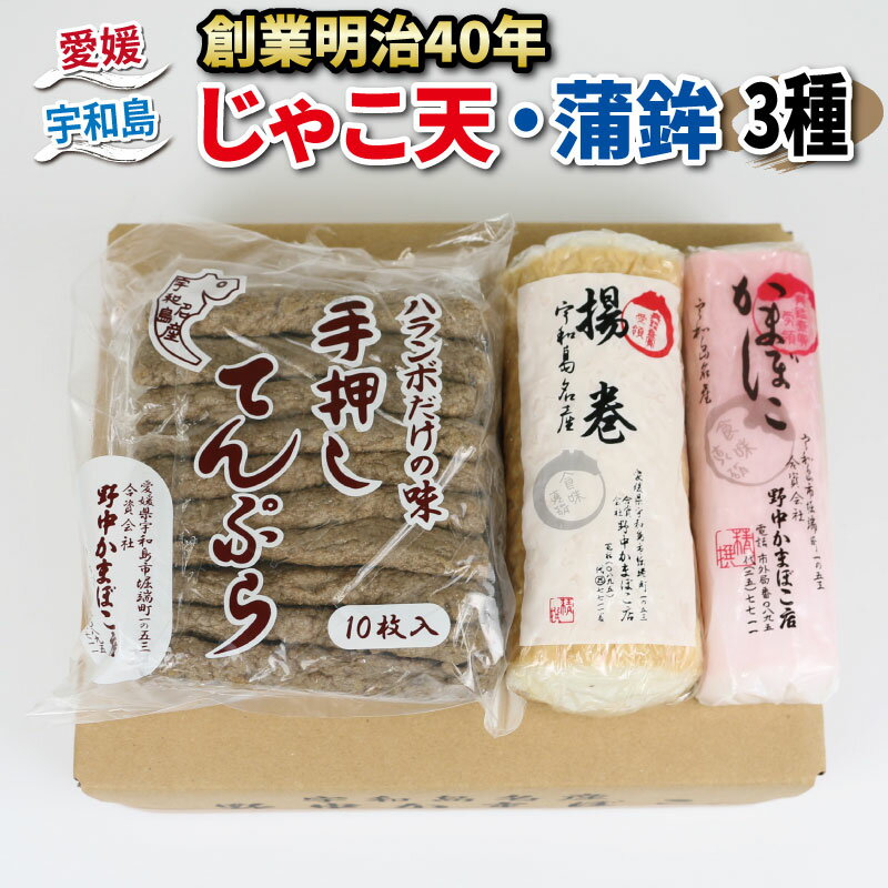 【ふるさと納税】 天ぷら \10営業日以内発送/ じゃこ天 蒲鉾 3種 セット じゃこ天 10枚 揚巻 1本 紅かまぼこ 1本 野中かまぼこ店 練り物 さつま揚げ かまぼこ 揚げかまぼこ おかず 冷蔵 フライ おでん だし 小分け 郷土料理 酒 おつまみ 肴 愛媛 宇和島 C015-014002