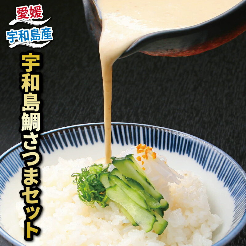 郷土料理 鯛 さつま セット 140g×4 和日輔 薬味付き 真鯛 まだい たい 味噌 丼 ごはん 発酵食品 麦味噌 味噌 みそ 加工品 魚介 海の幸 水産加工品 海鮮 冷凍 流水解凍 簡単調理 郷土料理 国産愛媛 宇和島