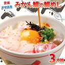 【ふるさと納税】 真鯛 みかん 鯛 鯛めし セット 3人前 和日輔 みかん鯛 蜜柑 mikan 鯛 タイ tai まだい スライス 真空パック 小分け 刺身 お...