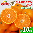 【ふるさと納税】 蜜柑 訳あり 小玉 温州みかん 早生 10kg 玉津柑橘倶楽部 早生温州 温州 みかん 早生みかん 小玉みかん 甘い 糖度 果物 くだもの フ...