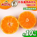 【ふるさと納税】 蜜柑 訳あり 小玉 温州みかん 南柑20号 10kg 玉津柑橘倶楽部 温州 みかん 小玉みかん 中生 甘い 糖度 果物 くだもの フルーツ 柑...