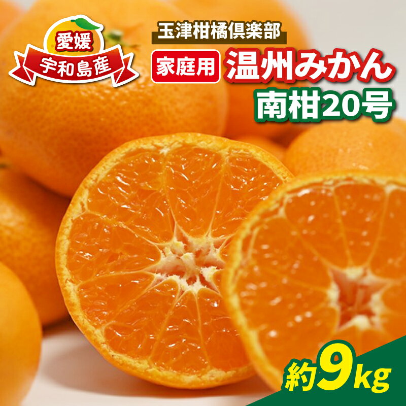 楽天市場】みかん 南柑20号の通販 楽天市場】みかん 南柑20号の通販