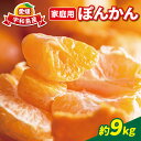 【ふるさと納税】 柑橘 ぽんかん 家庭用 9kg 玉津柑橘倶楽部 ポンカン 愛媛みかん 愛媛蜜柑 愛媛ミカン 玉津 蜜柑 みかん ミカン mikan 予約受付 果物 くだもの フルーツ ふるーつ 柑橘 濃厚 甘い あまい 甘味 産地直送 農家直送 数量限定 国産 愛媛 宇和島 B010-072003