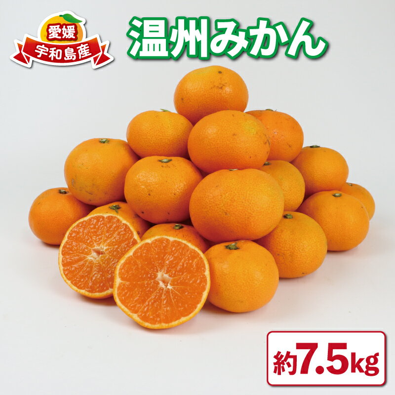 [先行予約] 愛媛みかん 温州みかん 7.5kg 家庭用 平石農園 先行予約 みかん mikan ミカン うんしゅうみかん 愛媛蜜柑 蜜柑 果物 くだもの フルーツ 柑橘 美味しい 人気 甘い ジューシー 愛媛県産 産地直送 農家直送 数量限定 国産 宇和島