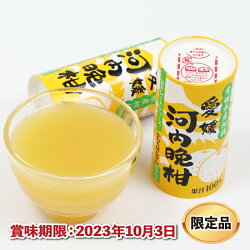 【ふるさと納税】 数量限定 みかん ジュース 河内晩柑 100％ 125ml ×30本 愛工房 果物 フルーツ 国産 愛媛 宇和島 H010-034005･･･ 画像1