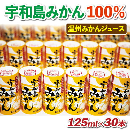 みかん ジュース 温州みかん 100％ 125ml ×30本 愛工房 みかんジュース 100%ジュース 果汁100% 果汁 飲料 柑橘 小分け パック 長期保存 備蓄 スイーツ オレンジジュース 果物 フルーツ 蜜柑 産地直送 国産 愛媛 宇和島 H020-034002