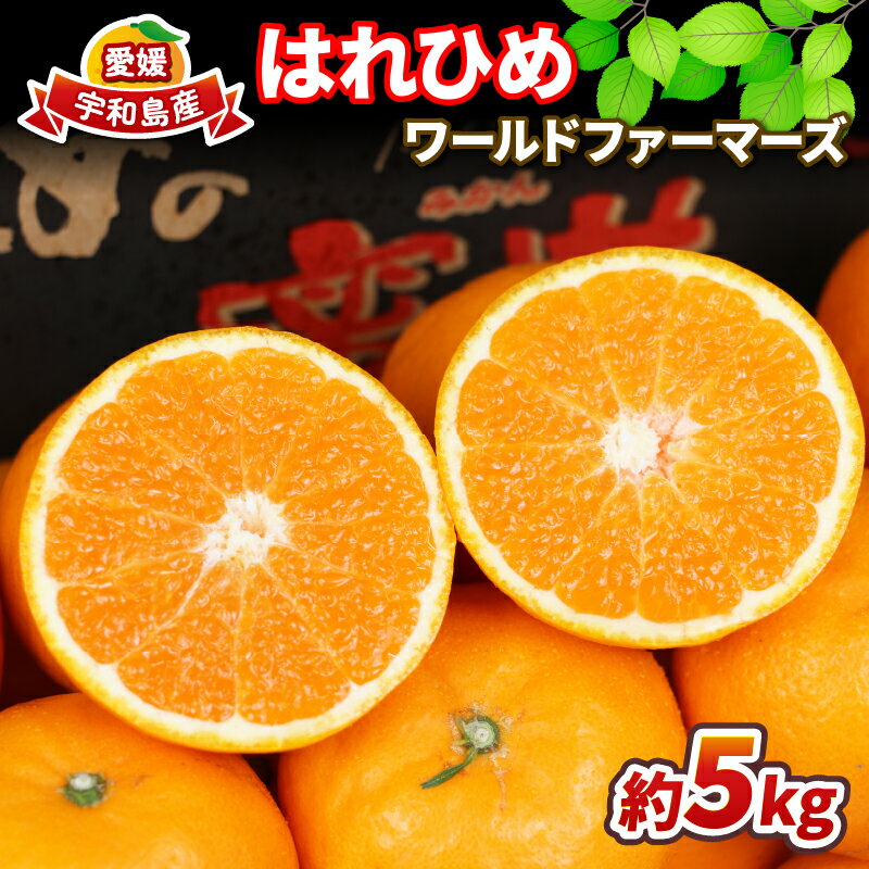 はれひめ 5kg ワールドファーマーズ 果物 フルーツ 柑橘 みかん 産地直送 農家直送 数量限定 国産 愛媛 宇和島 B012-024005