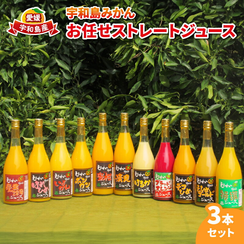 みかんジュース 宇和島みかん 先行予約 お任せ ストレート ジュース 3本セット ワールドファーマーズ 果汁 飲料 柑橘 みかん 蜜柑 mikan 愛媛みかん みかんジュース 100%ジュース 果物 くだもの フルーツ 産地直送 数量限定 国産 愛媛 宇和島