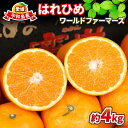 【ふるさと納税】 みかん はれひめ 4kg ワールドファーマーズ 瀬戸の晴れ姫 晴姫 harehime 蜜柑 mikan 吉田みかん 愛媛みかん 愛媛ミカン 愛...