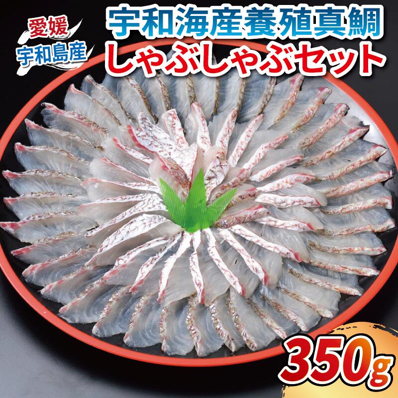 【ふるさと納税】 真鯛 しゃぶしゃぶ セット 切り身 350g ポン酢 80ml エビス 真鯛 鯛 マダイ タイ 鍋 鯛しゃぶ 養殖 海鮮 海の幸 魚 魚介 加工品 産地直送 国産 愛媛 宇和島 D024-047002