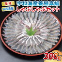 【ふるさと納税】 \10営業日以内発送/ 鯛しゃぶ 宇和海産 真鯛 しゃぶしゃぶ セット エビス 真鯛しゃぶしゃぶ 用 300g ポン酢 80ml 鯛 マダイ タイ 冷凍 養殖 海の幸 魚 さかな 魚介 魚貝 加工品 アレンジ 産地直送 国産 愛媛 愛媛県 宇和海 宇和島 D020-047002