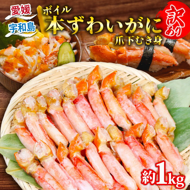 ＼10営業日以内発送/ 蟹 カニ 訳あり ボイル 本ずわいがに 爪下むき身 約 1kg ニューバーク 本ズワイガニ kani 本ずわいがに 冷凍 カニ 蟹 ずわいがに ずわい蟹 蟹 ボイル蟹 肩 蟹脚 カニ脚 爪 カニ爪 蟹爪 爪下 人気のカニ 人気 愛媛 宇和島