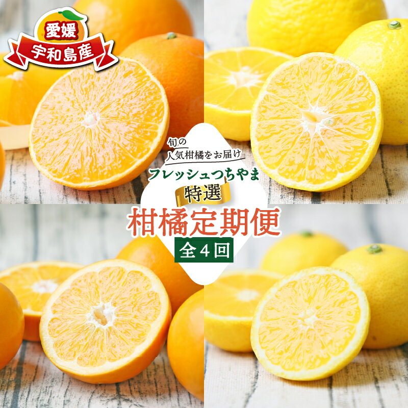 【ふるさと納税】 贈答用 柑橘定期便 全 4回 みかん定期便 特選 愛果28号 媛小春 ダイヤオレンジ 黄金柑 フレッシュつちやま 蜜柑定期便 大谷伊予柑 果物 くだもの フルーツ 柑橘 愛媛みかん みかん mikan プレゼント ギフト 産地直送 数量限定 国産 愛媛 宇和島 B072-096025のサムネイル