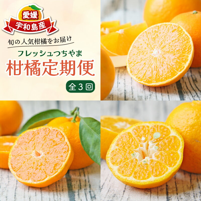 柑橘定期便 全3回 みかん定期便 家庭用 吉田みかん 愛果28号 ポンカン フレッシュつちやま 季節の柑橘 旬 愛媛みかん 愛媛蜜柑 愛媛ミカン 温州みかん 温州 果物 くだもの フルーツ 柑橘 みかん mikan 産地直送 数量限定 国産 愛媛 宇和島