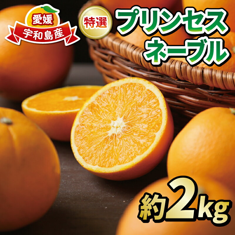 【ふるさと納税】 柑橘 ネーブル オレンジ 2kg 特選 秀品 プリンセスネーブル フレッシュつちやま 先行予約 贈答用 オレンジ ギフト プレゼント 高級 ネット掛け orenge 果物 フルーツ みかん 蜜柑 愛媛みかん 農家直送 産地直送 数量限定 国産 愛媛 宇和島 B010-096001