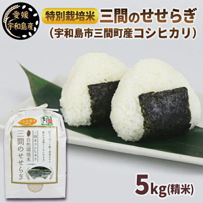 三間のせせらぎ 三間町産 コシヒカリ 5kg 渡辺農園 米 ごはん お弁当 おにぎり ブランド米 ふっくら ツヤツヤ 甘い 粘り 美味しい 農家直送 産地直送 数量限定 国産 愛媛 宇和島 G012-117001