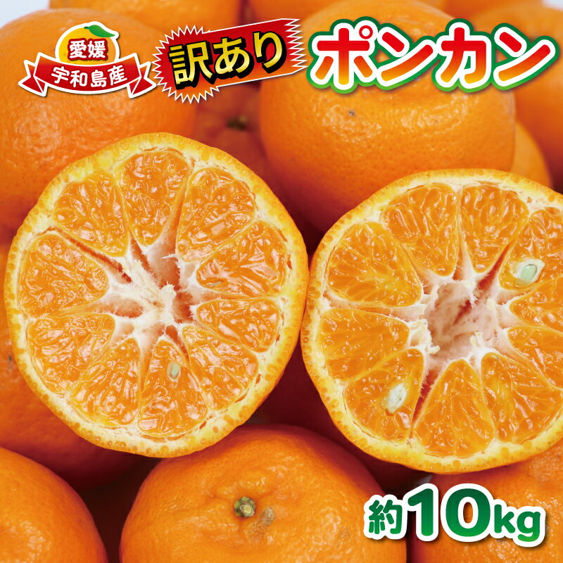 楽天市場】ポンカン 10kgの通販