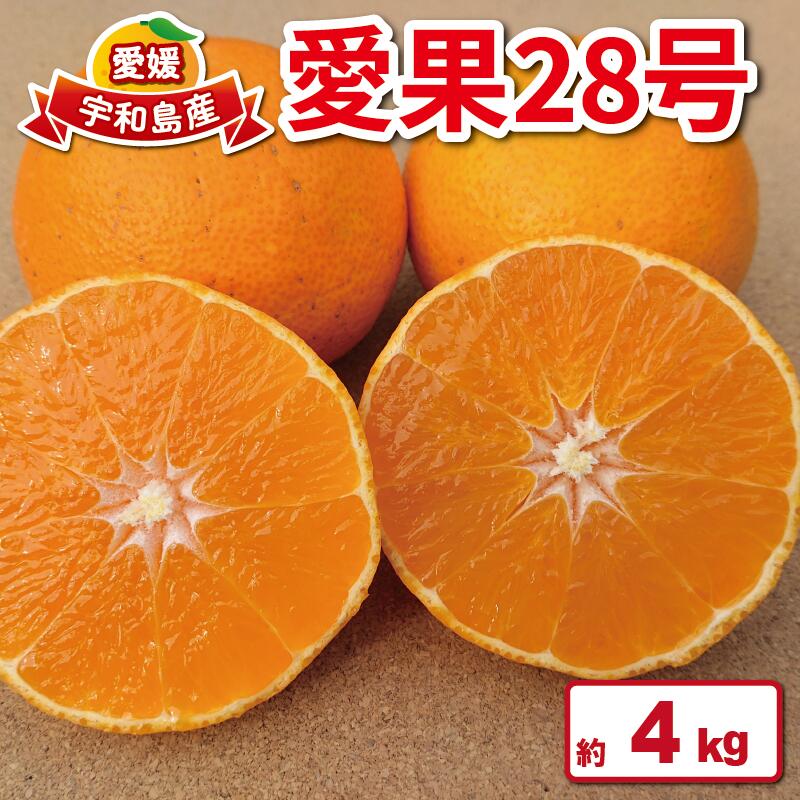 【ふるさと納税】 愛果28号 4kg つばさ農園 果物 フルーツ 柑橘 みかん 国産 愛媛 宇和島 B010-048010のサムネイル