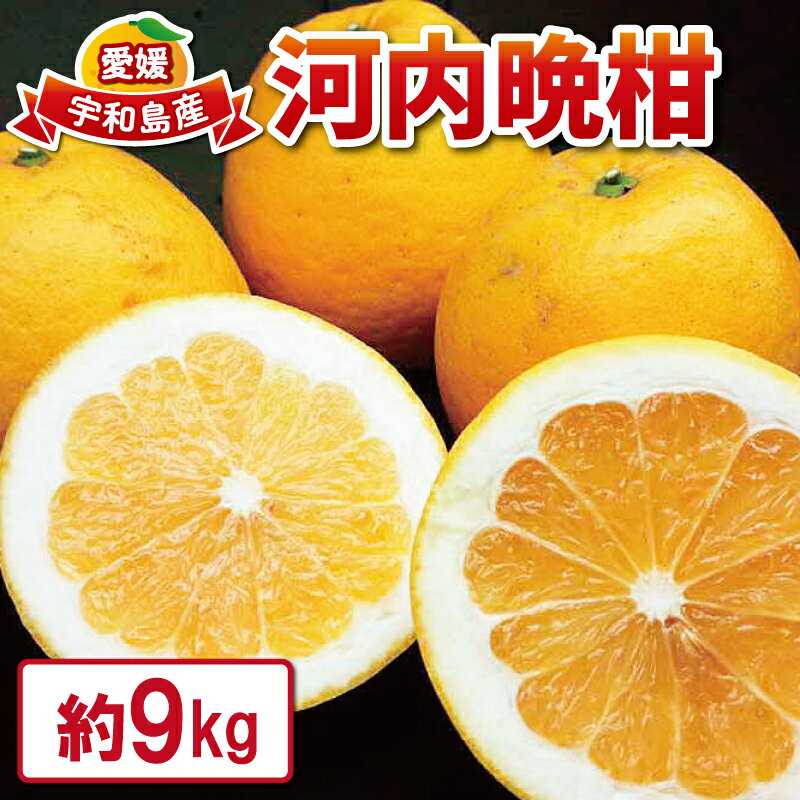 【ふるさと納税】 河内晩柑 9kg つばさ農園 晩柑 かわちばんかん 晩柑 和製 グレープフルーツ 果物 フルーツ 柑橘 みかん 蜜柑 産地直送 農家直送 産地直送 数量限定 国産 愛媛 宇和島 B010-048004のサムネイル