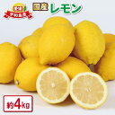 【ふるさと納税】 レモン 檸檬 4kg つばさ農園 国産レモン 先行予約 防腐剤 ・ ワックス 不使用 remon 青レモン れもん レモン果汁 高級 果物 ビタミン フルーツ くだもの 産直 1万円 10000円 寄附 お取り寄せ 農家直送 産地直送 数量限定 国産 愛媛 宇和島 B010-048012