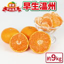 【ふるさと納税】 みかん 温州みかん 9kg 早生温州 家庭用 つばさ農園 先行予約 愛媛みかん 早生 温州 蜜柑 mikan 愛媛蜜柑 愛媛県産 美味しい 果物くだもの フルーツ 柑橘 農家直送 産地直送 数量限定 国産 愛媛 宇和島 B010-048005(4)