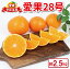 【ふるさと納税】 愛果28号 2.5kg 家庭用 つばさ農園 先行予約 愛媛みかん 愛媛蜜柑 愛媛県産 果物 フルーツ くだもの 柑橘 みかん mikan 高級 ブランド ゼリー プルプル 甘い 国産 限定 品種 あいか 農家直送 産地直送 数量限定 国産 愛媛 宇和島 B010-048010 10,000円