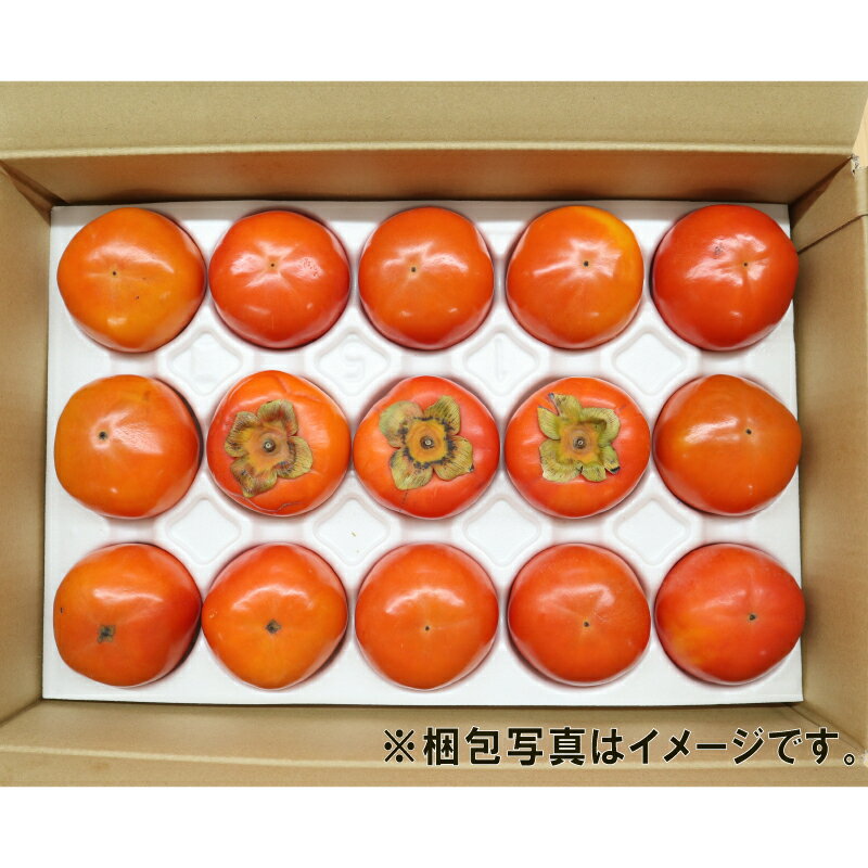 【ふるさと納税】二十世紀梨 5kg【ひかり果樹の会】 | 鳥取 梨 なし ナシ 送料無料
