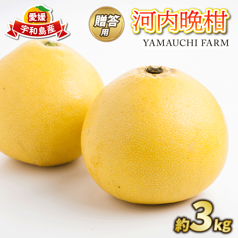 【ふるさと納税】 贈
