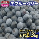 【ふるさと納税】 ブルーベリー 計1.3kg 340g×4パック 南四国ファーム 果物 フルーツ 国産 愛媛 宇和島 F010-035006