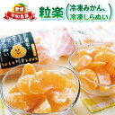 【ふるさと納税】 冷凍 みかん 2袋 冷凍 しらぬい 1袋 各500g 粒楽 皮なし 冷凍みかん 冷凍フルーツ 南四国ファーム 蜜柑 不知火 デザート スイーツ 天然 シャーベット アイス 果物 フルーツ 柑橘 冷凍 加工品 産地直送 国産 愛媛 宇和島 J012-035009