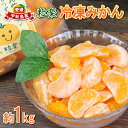 【ふるさと納税】 冷凍 みかん 1kg 1袋 粒楽 冷凍みかん 冷凍フルーツ 南四国ファーム 蜜柑 デザート スイーツ シャーベット アイス 果物 フルーツ 柑橘 冷凍 加工品 産地直送 国産 愛媛 宇和島 J010-035018