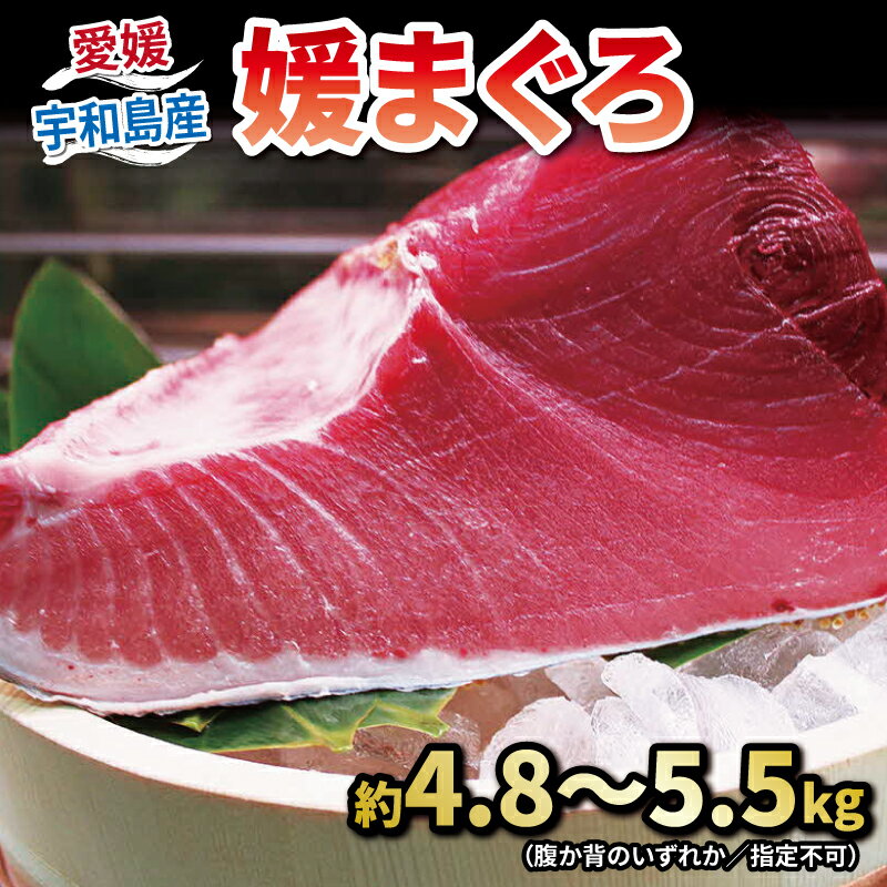 【ふるさと納税】 【年内発送】 本マグロ ブロック 4.8〜...