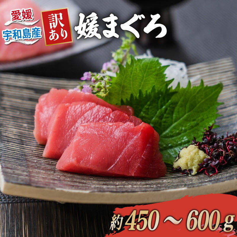 訳あり 本マグロ ブロック 450〜600g 媛まぐろ ダイニチ 鮪 刺身 国産マグロ 養殖マグロ 本鮪 クロマグロ マグロ 赤身 中トロ 大トロ 部位 指定不可 漬け ネギトロ アレンジ 訳アリ 訳あり品 わけあり 人気 海鮮 魚 魚介 国産 愛媛 宇和島