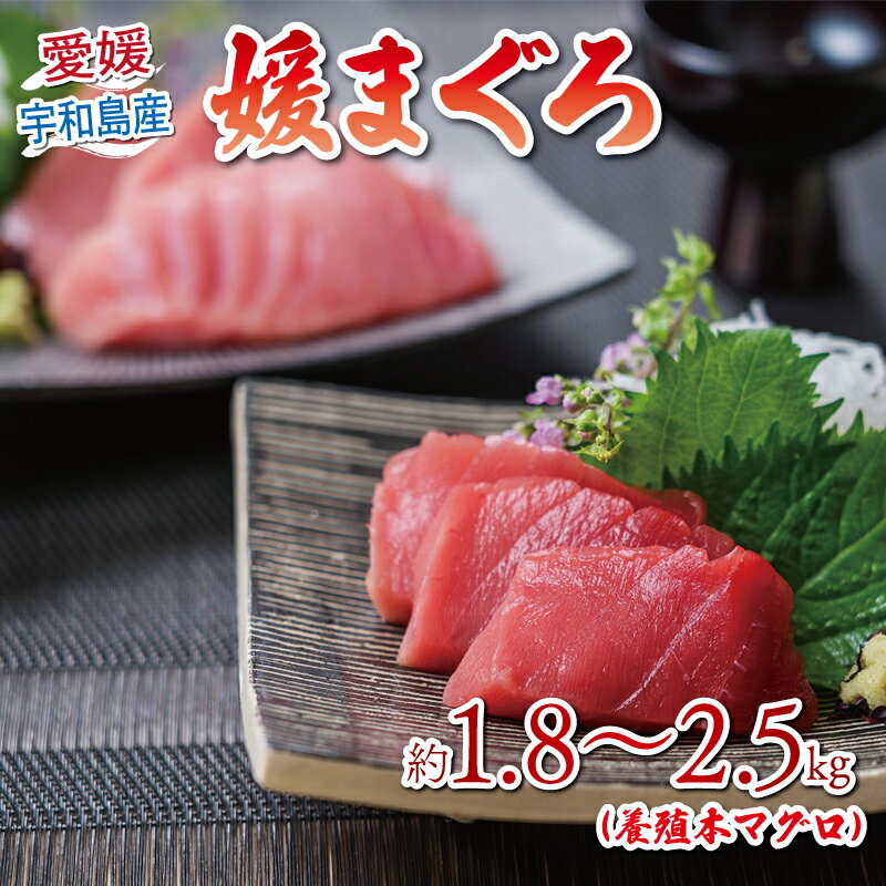 本マグロ ブロック 媛まぐろ 1.8kg~2.5kg ダイニチ マグロ 赤身 中トロ 大トロ 部位 指定不可 マグロ 国産マグロ 養殖マグロ クロマグロ 鮪 刺身 漬け ネギトロ アレンジ可 人気 海鮮 魚 魚介 産地直送 数量限定 国産 愛媛 宇和島